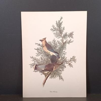 LOT 209: Audobon Birds of America 50 Lithograph Selections & A Treasury of American Prints 100 Etchings and Lithographs 1939