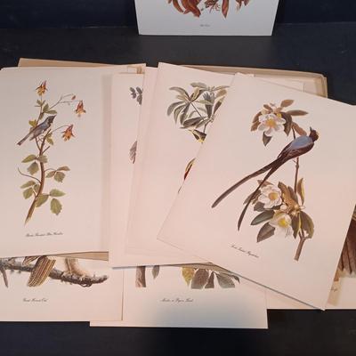 LOT 209: Audobon Birds of America 50 Lithograph Selections & A Treasury of American Prints 100 Etchings and Lithographs 1939