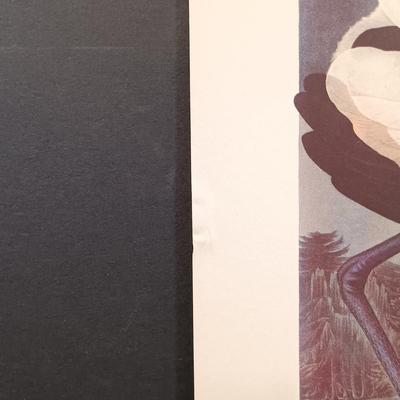 LOT 209: Audobon Birds of America 50 Lithograph Selections & A Treasury of American Prints 100 Etchings and Lithographs 1939