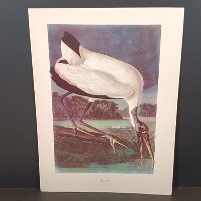 LOT 209: Audobon Birds of America 50 Lithograph Selections & A Treasury of American Prints 100 Etchings and Lithographs 1939