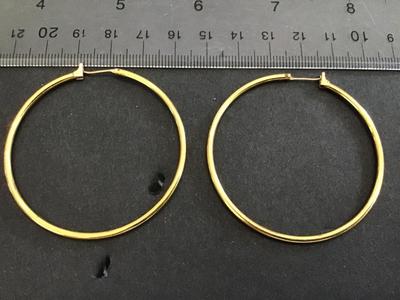 Monet Hoop Earrings