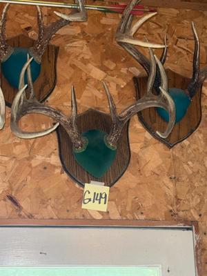 Sale Photo Thumbnail #1658: G149 Antler mounts