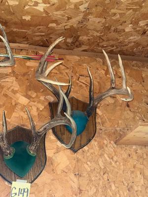 Sale Photo Thumbnail #1656: G149 Antler mounts