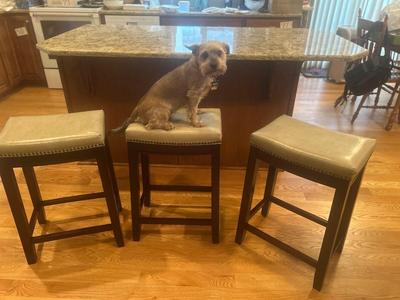 3 STYLISH BARSTOOLS