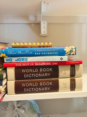 A VARIETY OF DIFFERENT BOOKS