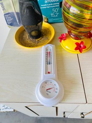 BIRD FEEDERS & GARDEN ITEMS