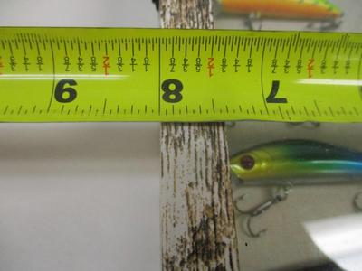 Fishing Lures Mounted In Shadow Box