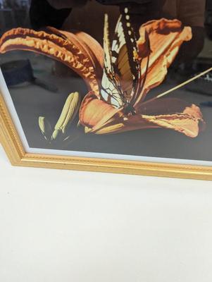 "Emergence" Signed Kathy Ozzard Chism Photography Wall Art 12 1/2" x 10"