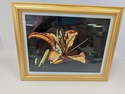 "Emergence" Signed Kathy Ozzard Chism Photography Wall Art 12 1/2" x 10"