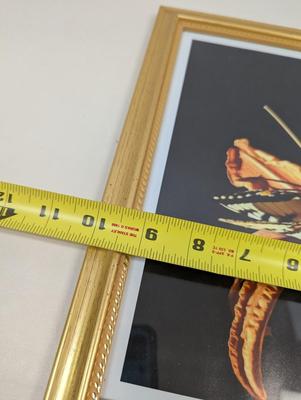 "Emergence" Signed Kathy Ozzard Chism Photography Wall Art 12 1/2" x 10"