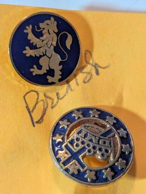 Assortment Of Lapel Pins #32