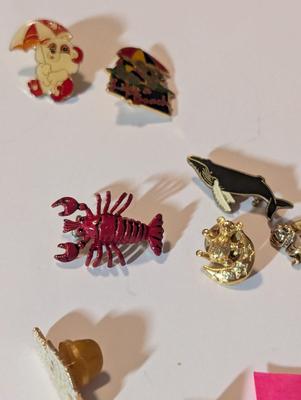 Assortment Of Costume Jewelry Lapel Pins Necklaces #33
