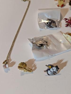 Assortment Of Costume Jewelry Lapel Pins Necklaces #33