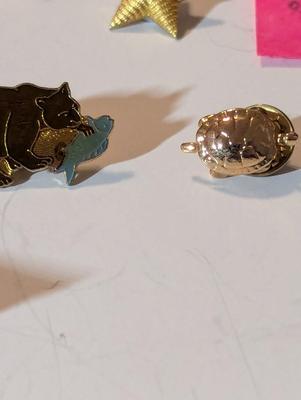 Assortment Of Costume Jewelry Lapel Pins Necklaces #33