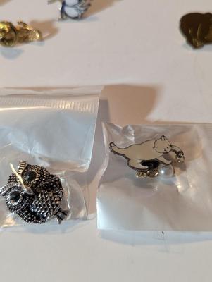 Assortment Of Costume Jewelry Lapel Pins Necklaces #33