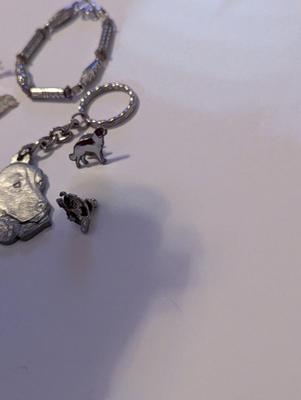 Assortment Of Costume Jewelry Lapel Pins Necklaces #33