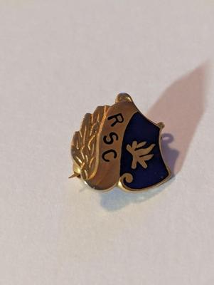 Assortment Of Costume Jewelry Lapel Pins #35