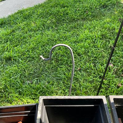 Sale Photo Thumbnail #1187: Tallest pole: 55" high
Medium pole is 48 inches in height
Smallest pool is 26 1/2 inches in height