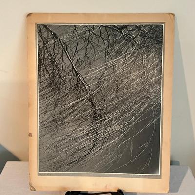 Sale Photo Thumbnail #1408: Measures: 16" wide x 20" high