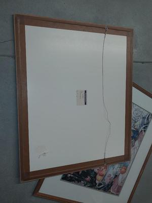 TWO FRAMED COLORFUL PICTURES