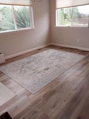 FURNITURE ROW AREA RUG