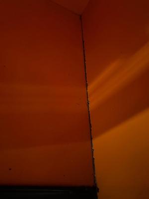 1970s Korean Cabinet has damaged and measurements pictured