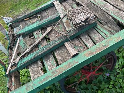 Cart/Yard or Garden art