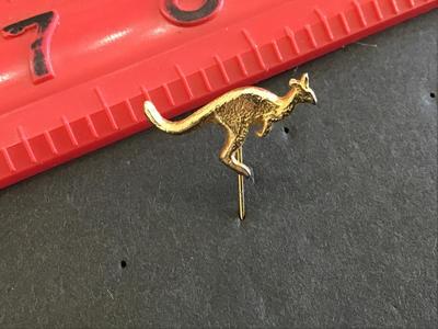 Kangaroo Pin