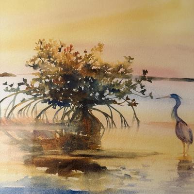 Mangrove Sunset Watercolor Print by Hannah Ineson (DR-BM)