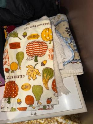 Sale Photo Thumbnail #694: D66-Misc clothing and towels