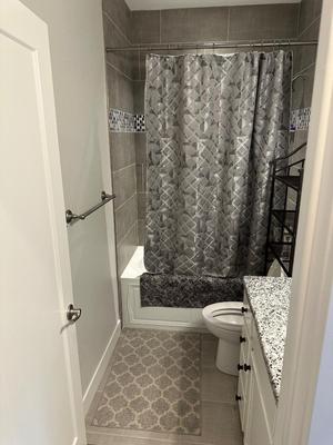 SILVER/GRAY SHOWER CURTAIN AND RUGS