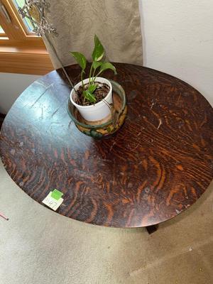 Sale Photo Thumbnail #997: M47-Beautiful table and plant