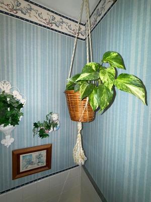 Sale Photo Thumbnail #1057: M27-Bathroom decor
