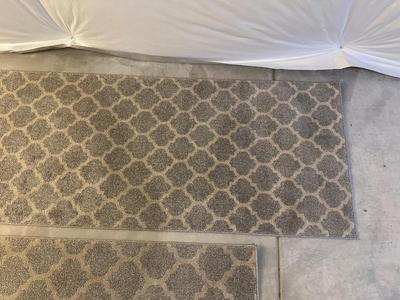 2 AREA RUGS