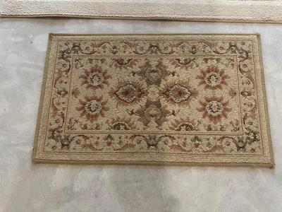 STEP LADDER AND AREA RUGS