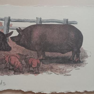LOT 154: Framed and Matted Wall Art - Piglets