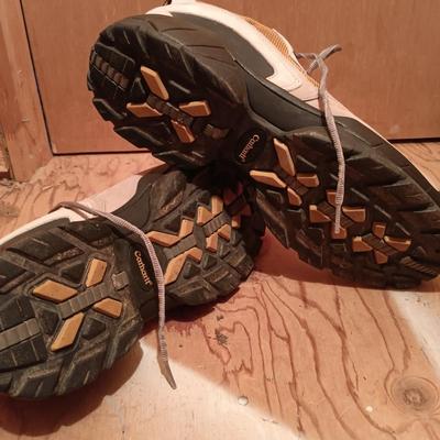 LOT 172: Three (3) Pairs of All Weather Boots and Shoes, By L L Bean, Carhart and More
