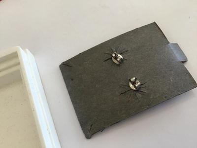 Vintage Pewter Teddy Bear Earrings In Case