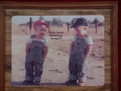“You been farming long?” wall decor. About 22"x18" including frame.
