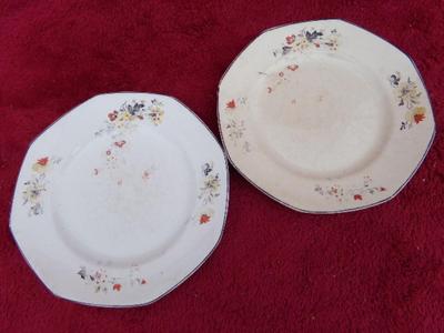 Two VTG/Antique Homer Laughin ceramic dinner plates, (30 N)