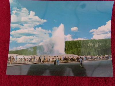 3 souvenir “Jumbo Post Card” of Yellowstone Nat. Park. c. Early 1950s