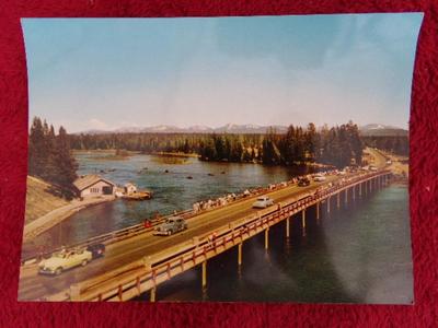 3 souvenir “Jumbo Post Card” of Yellowstone Nat. Park. c. Early 1950s