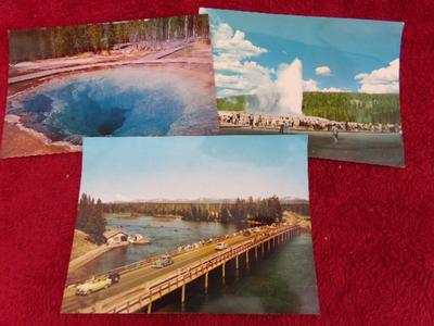 3 souvenir “Jumbo Post Card” of Yellowstone Nat. Park. c. Early 1950s