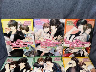 The World's Greatest First Love Vol 1-13 - Yaoi Manga by Shingiku Nakamura
