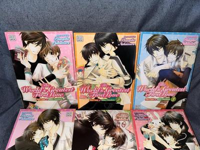 The World's Greatest First Love Vol 1-13 - Yaoi Manga by Shingiku Nakamura