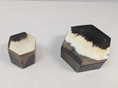 Pair Of Octogen Horn Covered Trinket Boxes #4