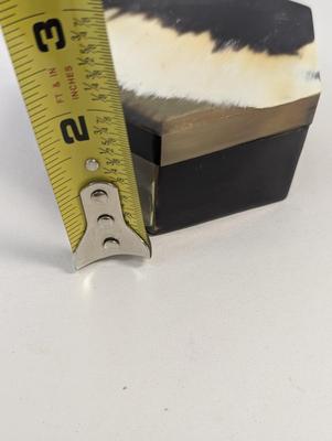 Pair Of Octogen Horn Covered Trinket Boxes #4