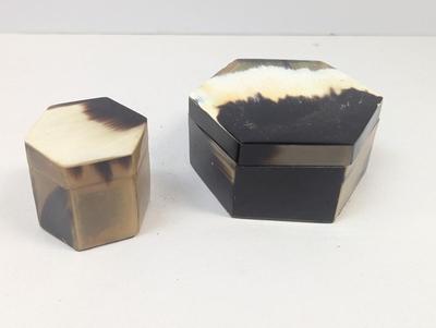 Pair Of Octogen Horn Covered Trinket Boxes #4