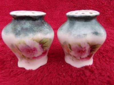 VTG/antique hand painted fine porcelain salt & pepper set.