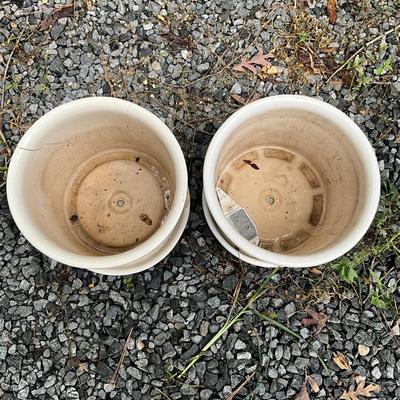 O983 Pair Of Painted Floral Pots With Saucer